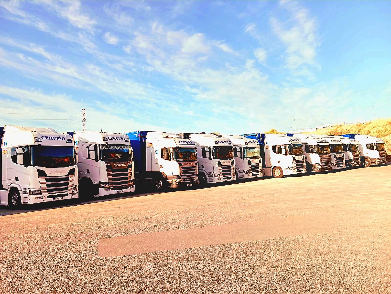 Vista de la flota de Transportes Cerviño alineada en el recinto