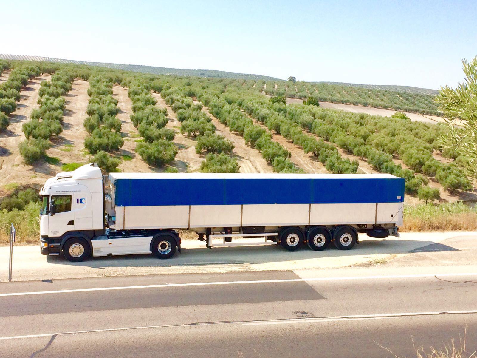 Camión blanco y azul de Cerviño en carretera junto a un olivar